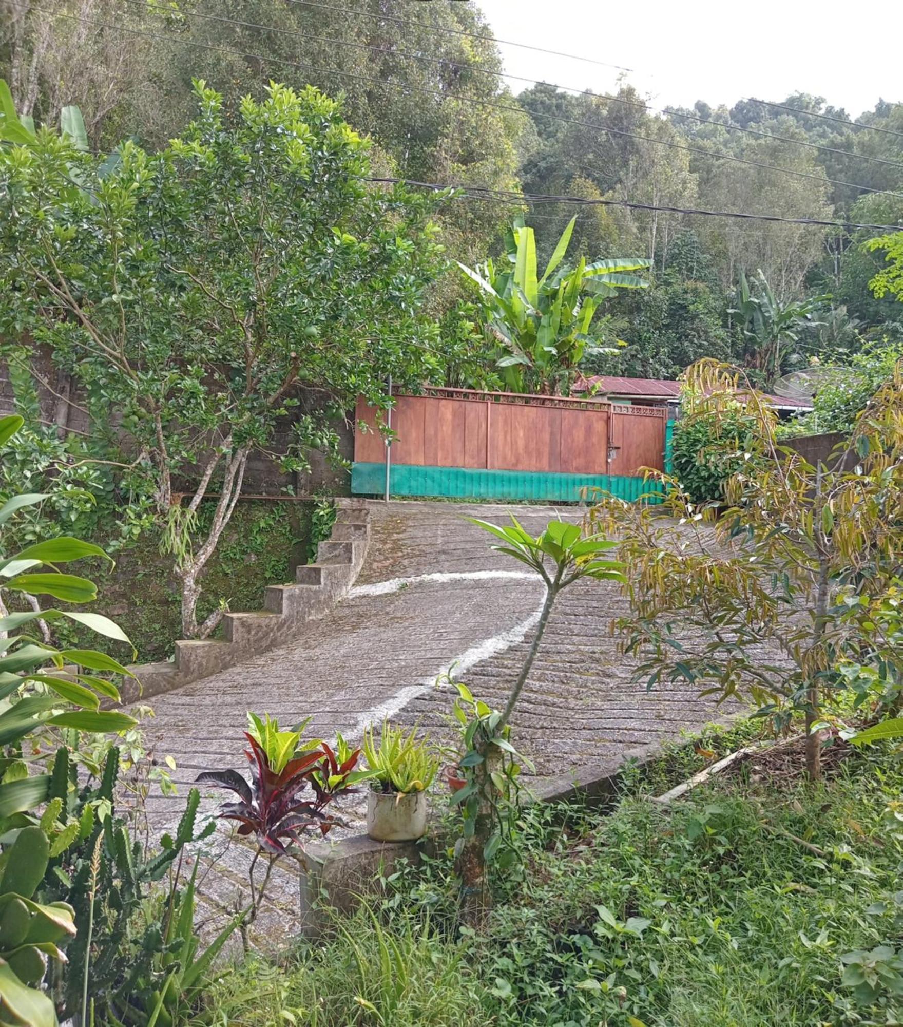 Kanaya Homestay & Warung Heaven Munduk Eksteriør bilde
